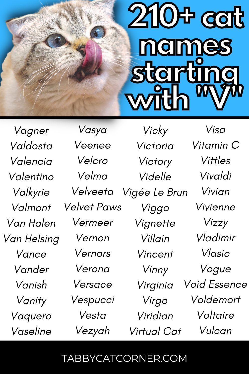 Cat Names Starting With V - 210 Of The Best - Tabby Cat Corner