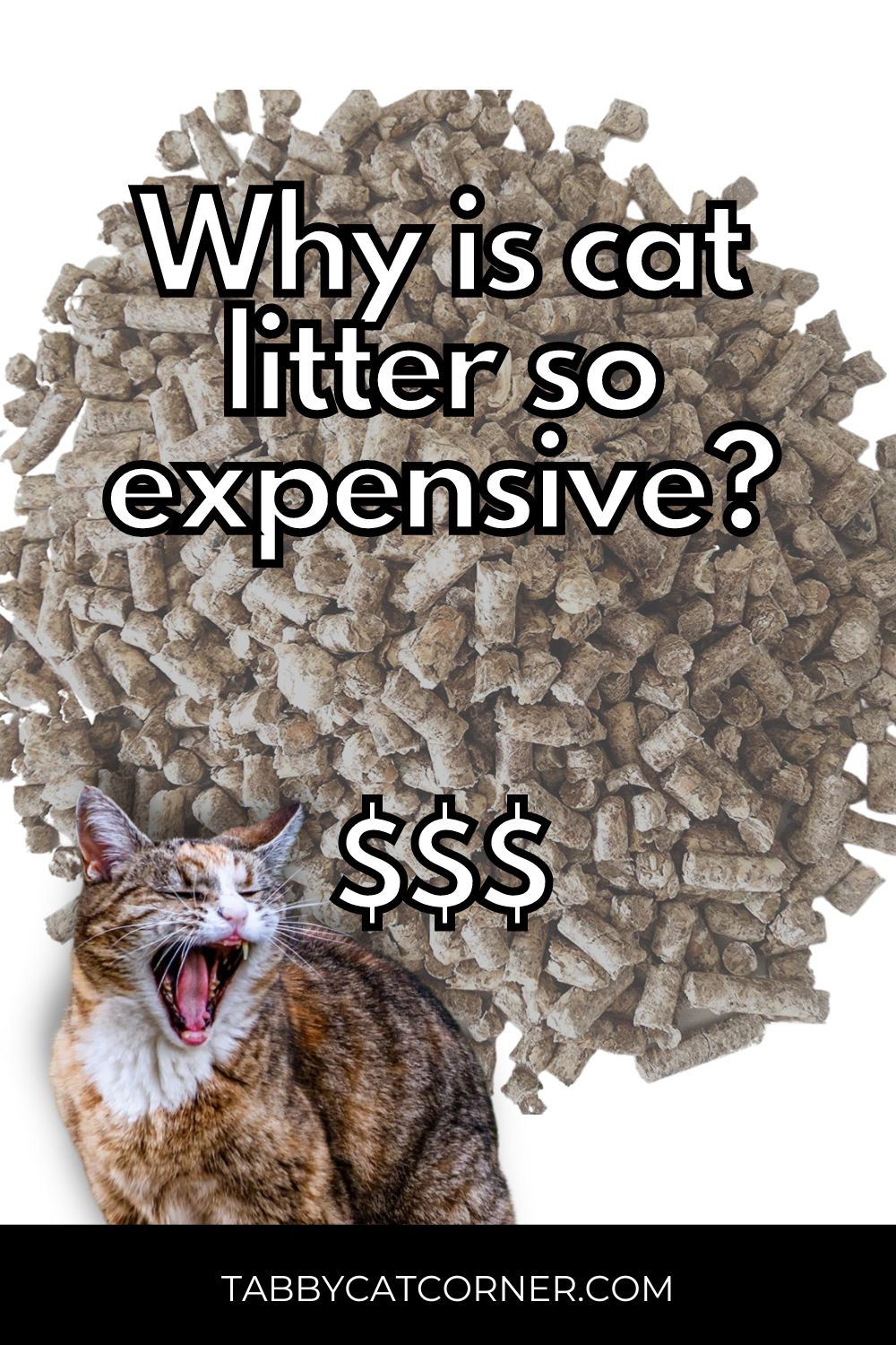 Why Is Cat Litter So Expensive? Cat Owner Guide (2024)