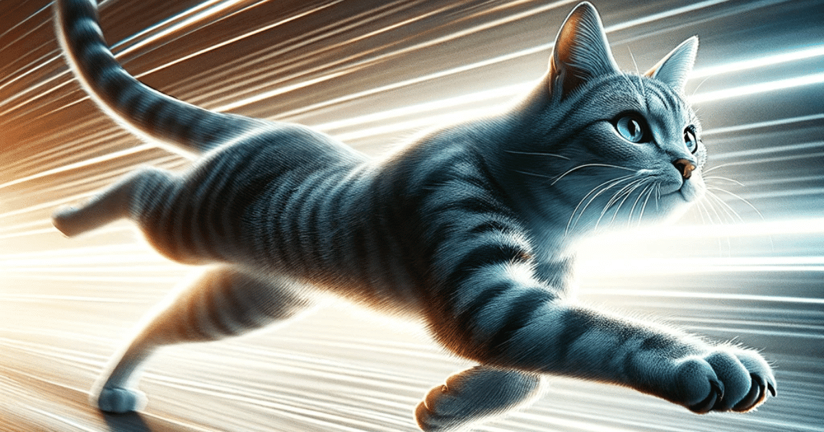 How Fast Can Cats Run? The Answer Might Shock You!